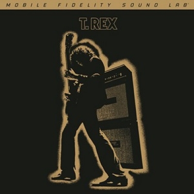 暴龍樂團－電子戰士（180 克 45 轉 2LPs）<br>T. Rex - Electric Warrior (Numbered 180g 45rpm Vinyl 2LP)示意圖