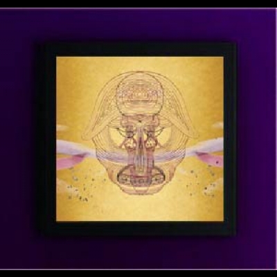【特價商品】德文卓．班哈特：我們的未來 ( 180 克 2 LPs )<br>Devendra Banhart：What Will We Be<br>創意黑膠掛框黑白自由選<br>( 線上試聽 )示意圖