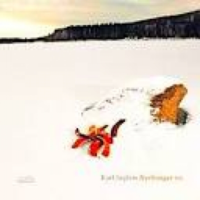 【線上試聽】卡爾‧塞格林 ─ 新的歌曲 ( 180 克 LP )<br>Karl Seglem NyeSongar.no<br>Karl Seglem (薩克斯風、羊號角)<br>Andreas Ulvo (鋼琴)<br>Sigurd Hole (低音吉他)<br>Jonas Howden Sjovaag (鼓)示意圖