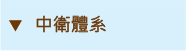 中衛體系