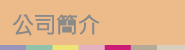 公司簡介