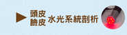 頭皮臉皮水光系統剖析課程