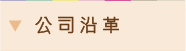 公司沿革 