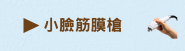 小臉筋膜槍