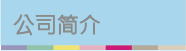 公司沿革