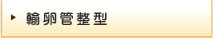 輸卵管整型